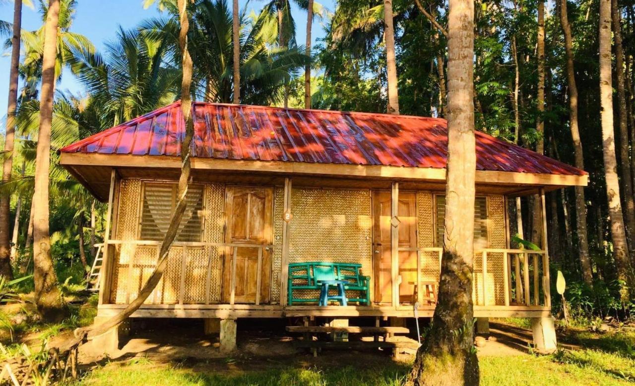 Arkadia Beach Resort Underground River Sabang  Exterior foto